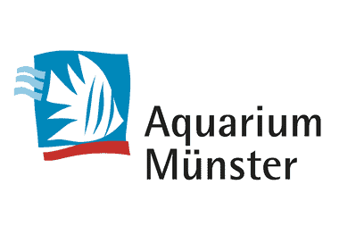 Aquarium Münster Fischfutterautomat Visual Fish Feeder