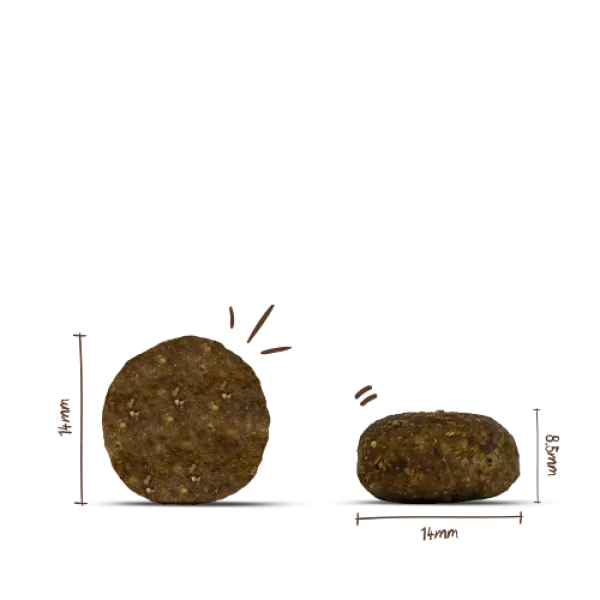 Bosch PLUS Strauß & Kartoffel 12,5kg