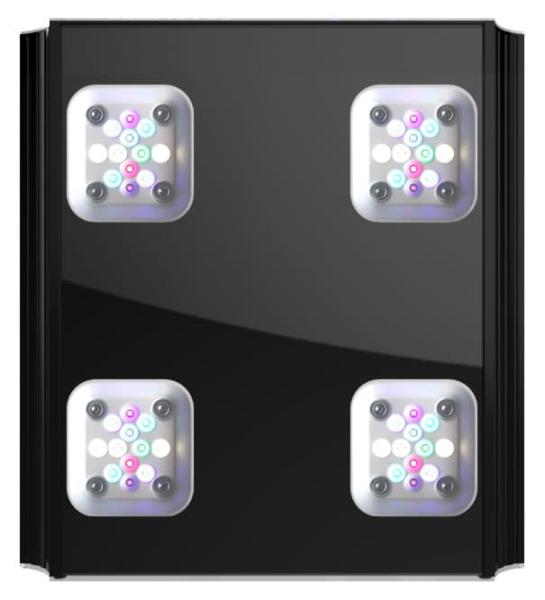 GHL Mitras LX 7X04 Süßwasser Schwarz