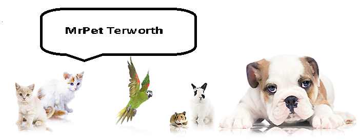 Mrpet Terworth Heimtiershop